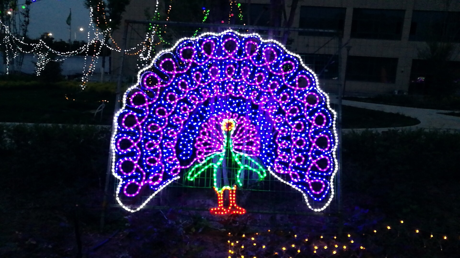 兰州新区拉斯维加斯游戏3499世贸广场“花漾灯光艺术节”接待你！